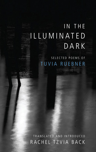 Book cover: In the Illuminated Dark