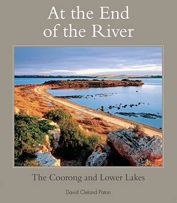 Book cover: At the End of the River