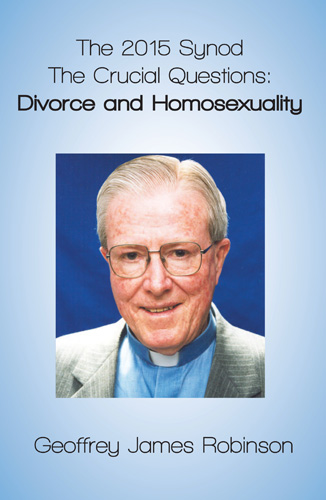 Book cover: The 2015 Synod