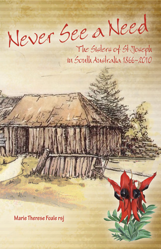 Book cover: Never See a Need