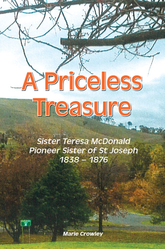 Book cover: A Priceless Treasure