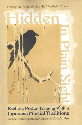 Book cover: Hidden in Plain Sight