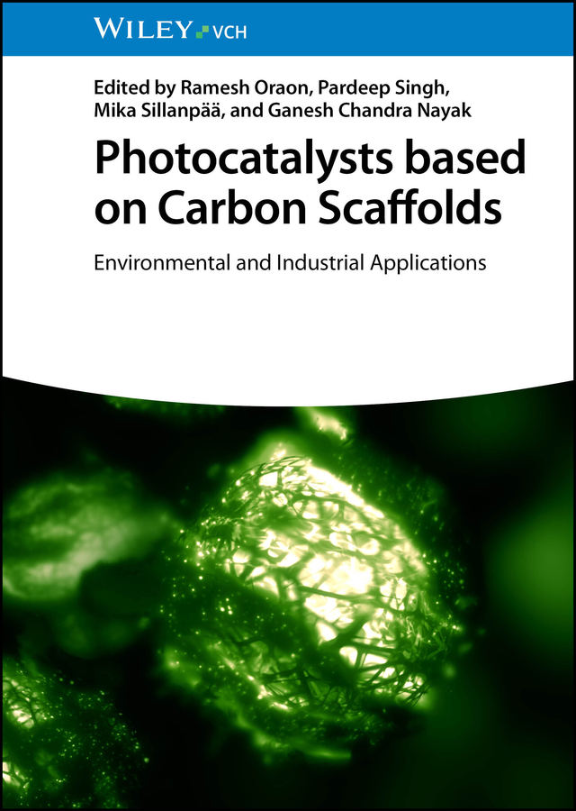 Book cover: Photocatalysts based on Carbon Scaffolds